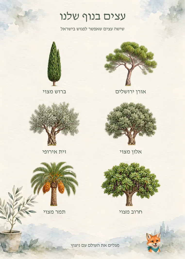 האיור המלא — עותק תצוגה מוקטן