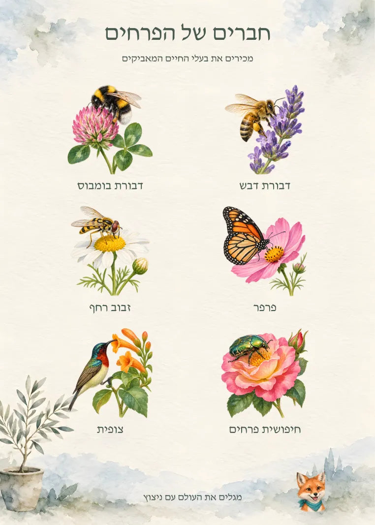 האיור המלא — עותק תצוגה מוקטן