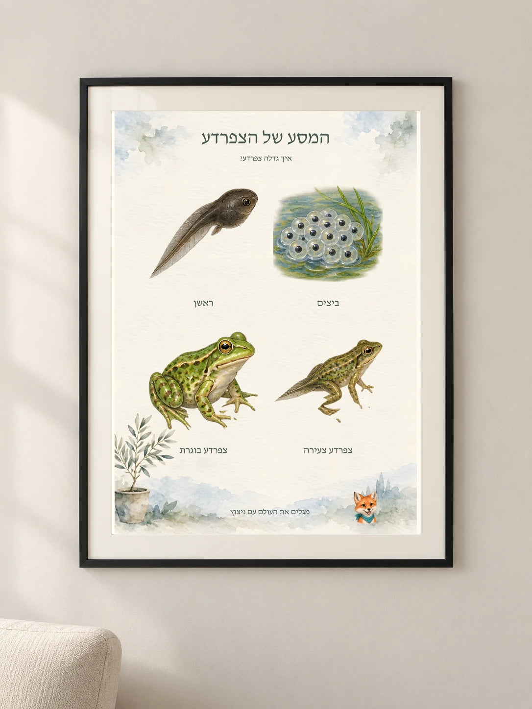 המסע של הצפרדע — framed — minimal-room-v3