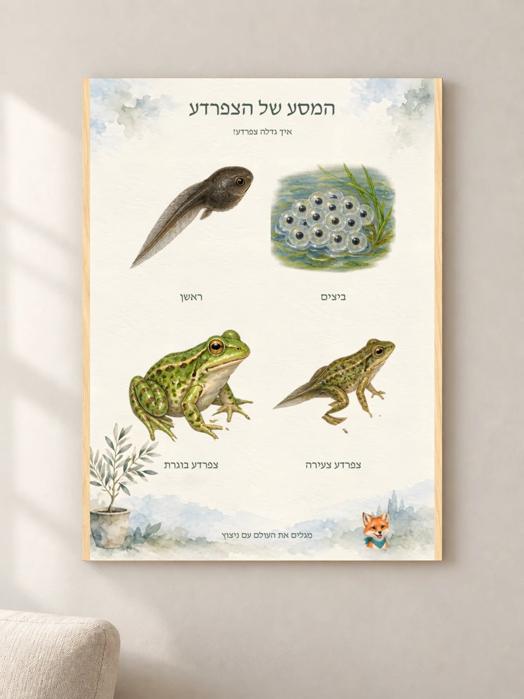 המסע של הצפרדע — wood — minimal-room-v3