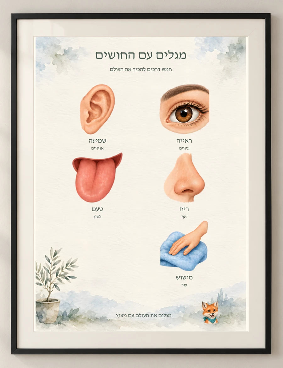מגלים עם החושים — detail — minimal-room-v3