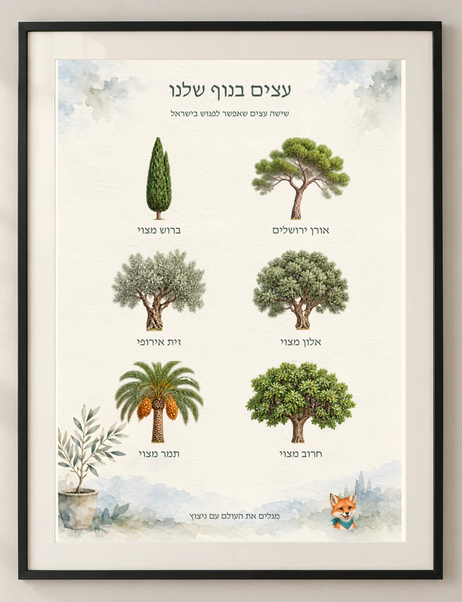 עצים בנוף שלנו — detail — minimal-room-v3