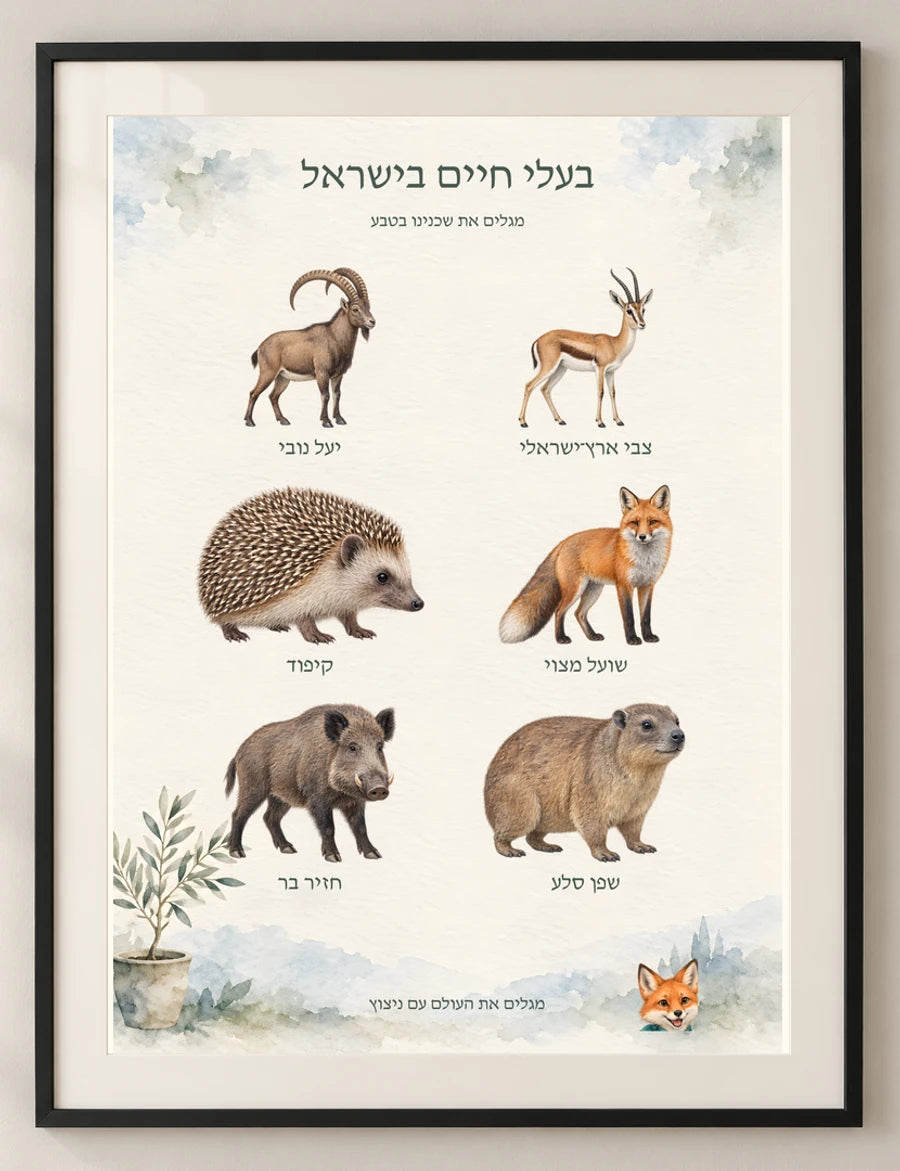 בעלי חיים בישראל — detail — minimal-room-v3