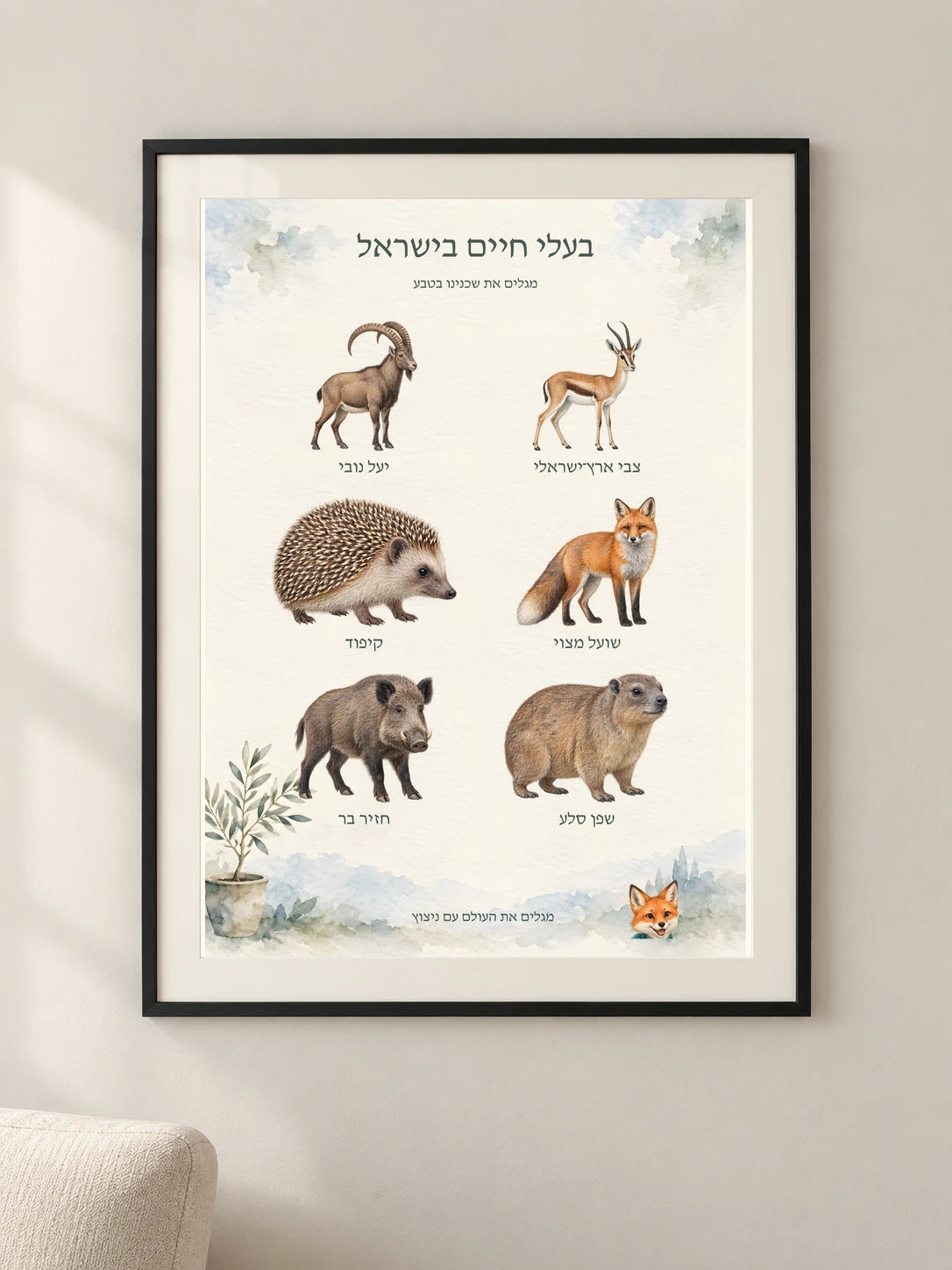 בעלי חיים בישראל — framed — minimal-room-v3