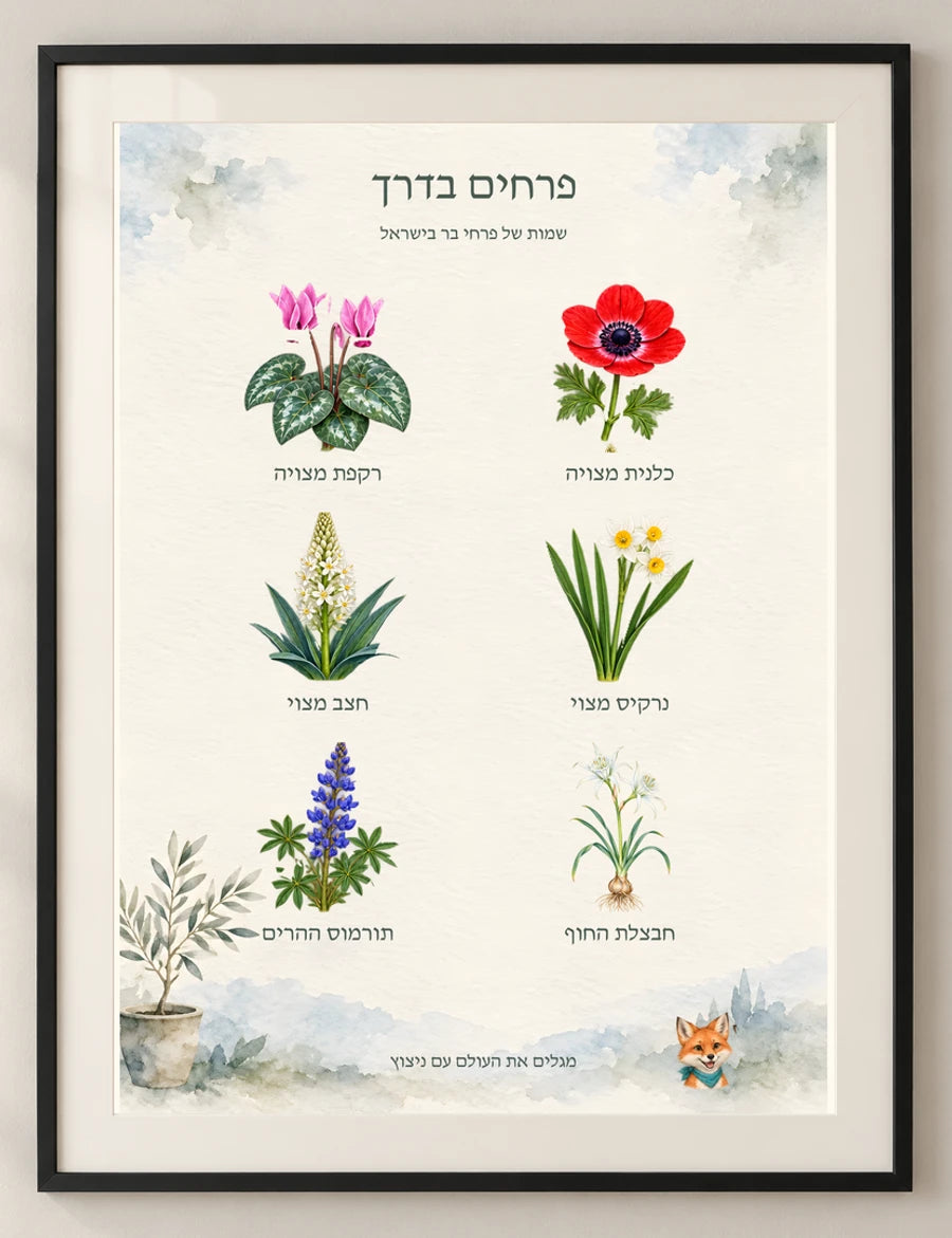פרחים בדרך — detail — minimal-room-v3