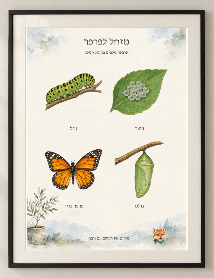 מזחל לפרפר — detail — minimal-room-v3